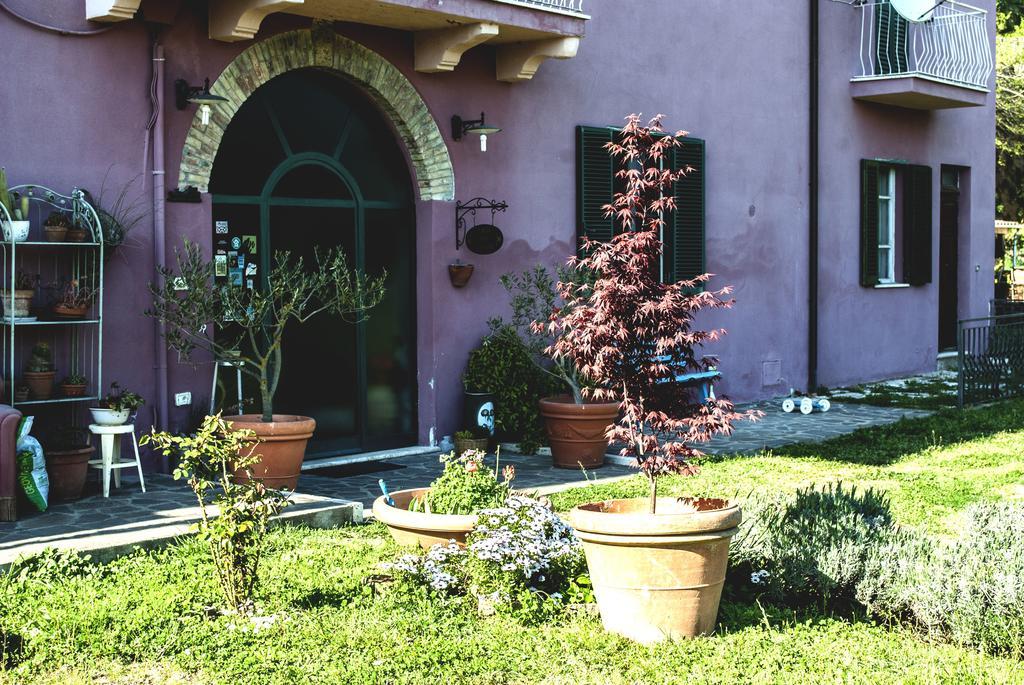 La Casa Dei Carrai Bed & Breakfast ปีติญาโน ภายนอก รูปภาพ